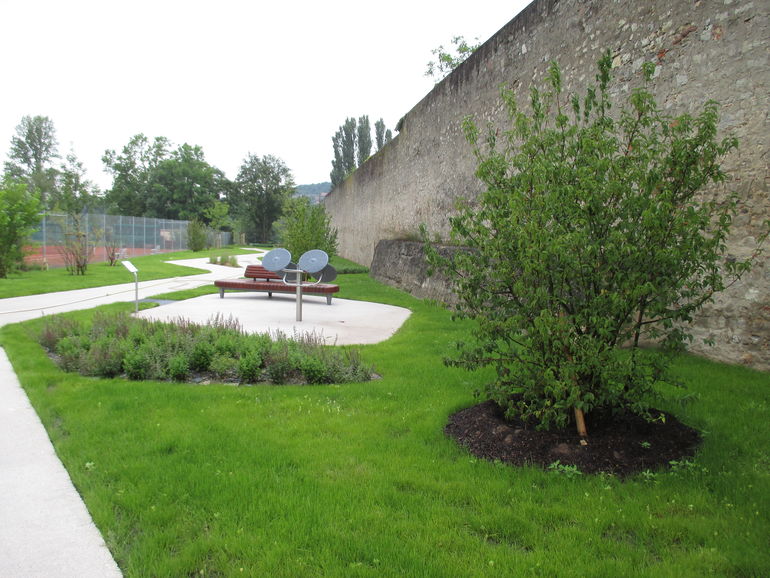 Grüne Mitte BA Klostermauer