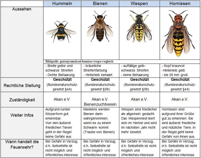 Tabelle Wespen,Bienen