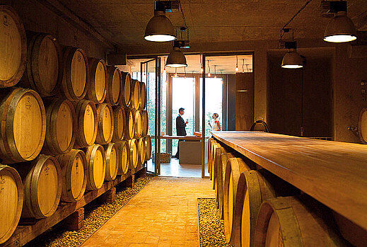 Weingut am Stein Weingalerie